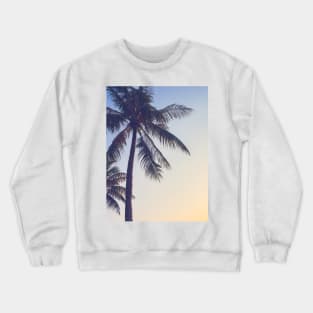 Palm Tree By The Beach Crewneck Sweatshirt